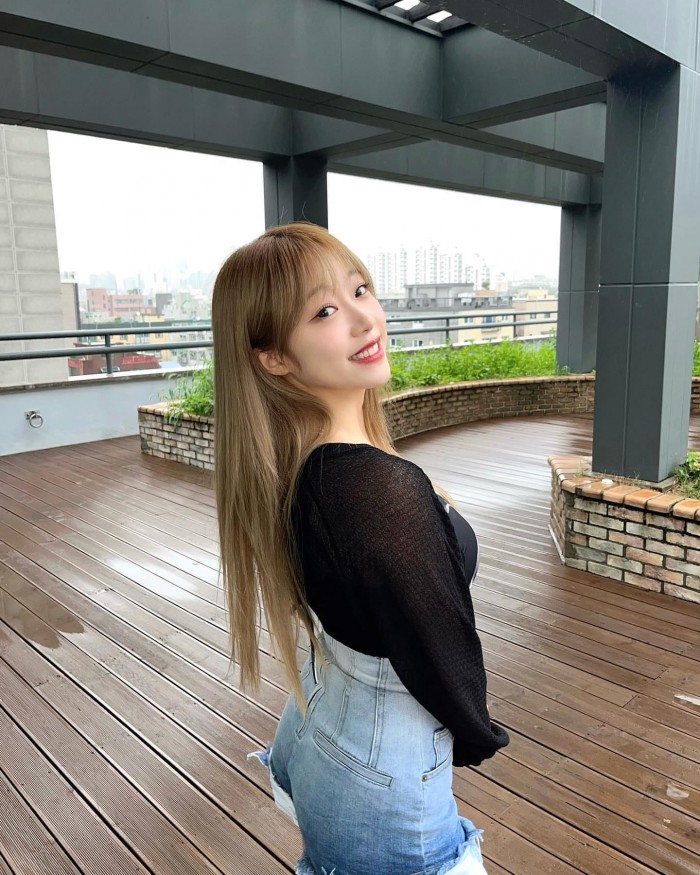 짤티비 - https://jjtv.kr