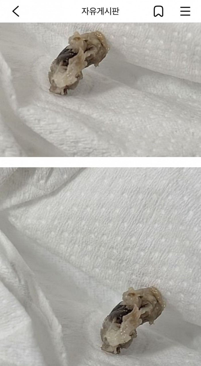 f21ca815448163f63dda11bfa3df73cc_1783067611_9539.jpeg